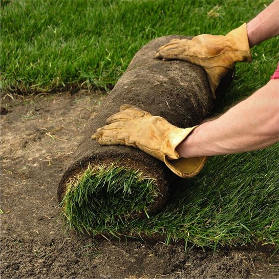 Озеленение